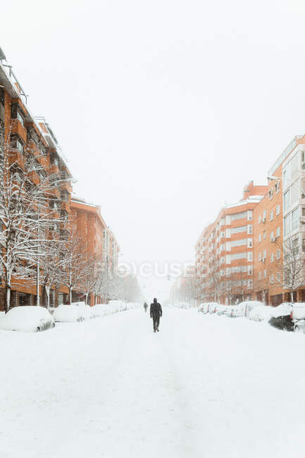 Pedestres em outerwear passeando na passarela nevada entre árvores sem folhas e edifícios residenciais na rua de Madrid — Fotografia de Stock