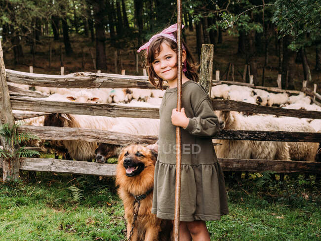 Vista laterale di cute bambina accarezzando obbediente Basco pastore cane vicino recinto con gregge di pecore in fattoria guardando la fotocamera — Foto stock