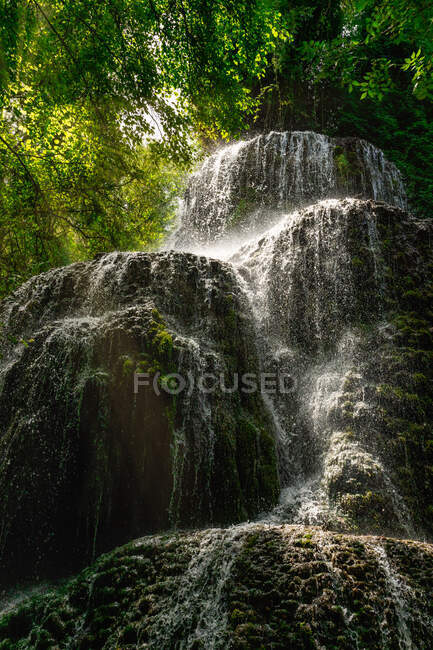 From below waterfall under the trees on a sunny day — Stock Photo