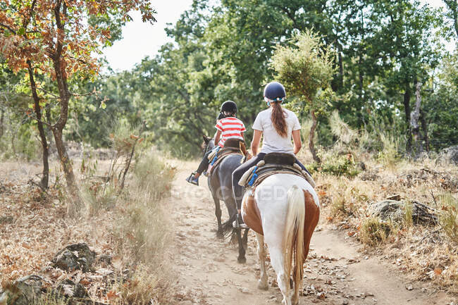 Back view of faceless people in jockey caps and casual clothes sitting in saddle on horses with bridles while riding near trees and plants in forest in daytime — Stock Photo