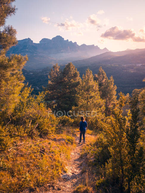 Обратный вид на далеких неузнаваемых туристов, стоящих в лесу с зелеными деревьями против скалистых гор в дикой природе во время поездки — стоковое фото