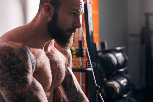 Вид збоку концентрований м'язистий спортсмен з татуюваннями, що виконують вправи на кабельній кросоверній машині в спортзалі зі світлими стінами — стокове фото