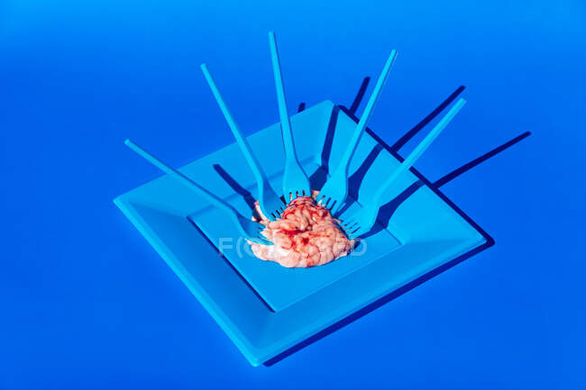 Haufen pinkfarbener roher Gehirne, serviert auf blauem Teller mit Plastikgabeln auf blauem Hintergrund im hellen, modernen Kreativstudio — Stockfoto