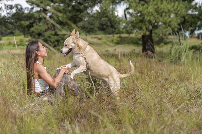 Vista lateral do proprietário do sexo feminino e cão obediente olhando um para o outro enquanto descansa no campo gramado com árvores altas — Fotografia de Stock