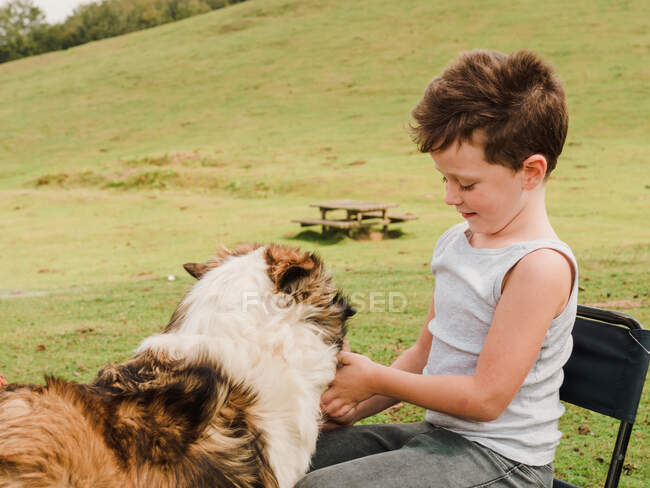 Боковой вид мальчика, гладящего пушистую собаку, сидя на стуле на лавочке возле холмистой местности на природе — стоковое фото
