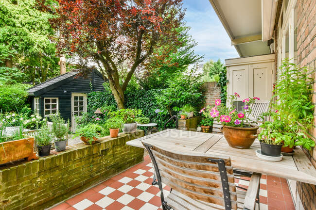 Tisch mit Topfpflanzen und Stühlen auf der Terrasse vor dem gemauerten Häuschen an sonnigen Sommertagen — Stockfoto
