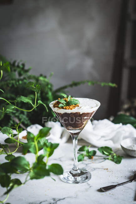 Стекло сладкого мусса с шоколадом и кокосом, украшенное листьями мяты и поставленное на стол с зелеными растениями — стоковое фото