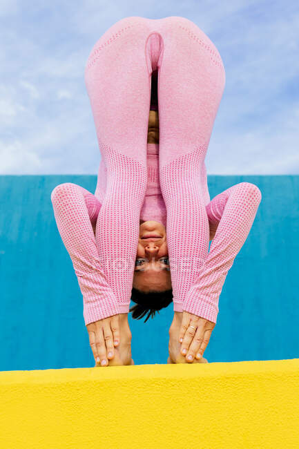 Fêmea flexível em activewear em pé para a frente dobrar pose enquanto pratica Uttanasana ioga pose na parede amarela e azul — Fotografia de Stock
