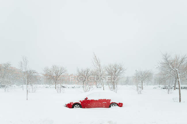 Auto rossa sotto il cumulo di neve tra alberi privi di foglie durante la nevicata in una giornata invernale nuvolosa a Madrid — Foto stock