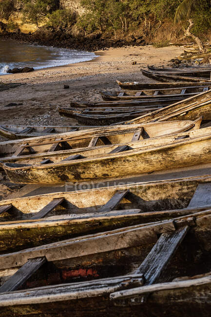 Row of aged wooden boats moored on sandy beach of ocean against green tropical plants on So Tom and Prncipe island in sunny day — Stock Photo