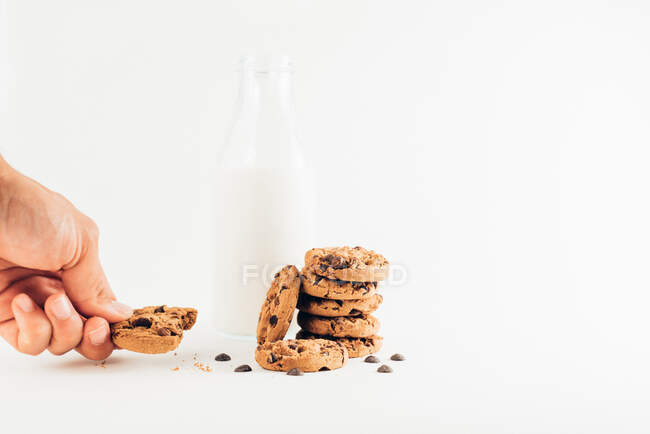 Crop unrecognizable person eating sweet chocolate chips cookies on table with bottle of milk on white background in light room — Stock Photo