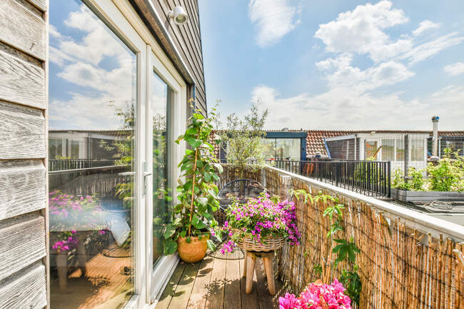 Терраса квартиры в жилом доме украшена разнообразными ярко цветущими растениями в солнечный день в городе — стоковое фото