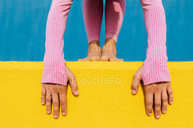 Crop unrecognizable female hands and legs in light pink sportswear standing in forward bend pose on yellow wall against blue background — Stock Photo