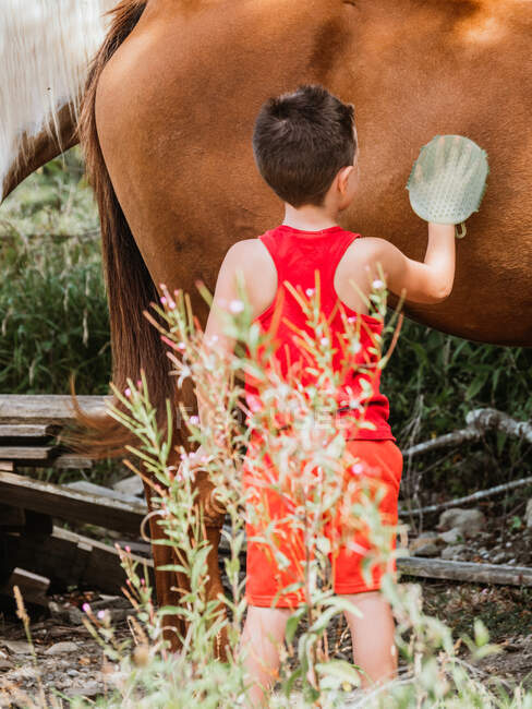 Back view of caring boy with brush combing fur of horse in countryside — Stock Photo