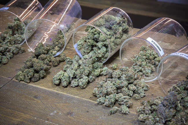 Von oben eine Reihe von Plastikbehältern mit halb verschütteten Cannabis-Knospen auf einem Holztisch verstreut — Stockfoto