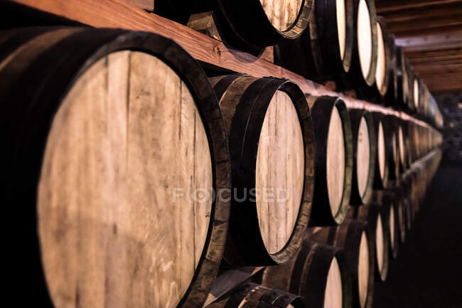 Cave à vin vieillie rangées de tonneaux sur des étagères — Photo de stock