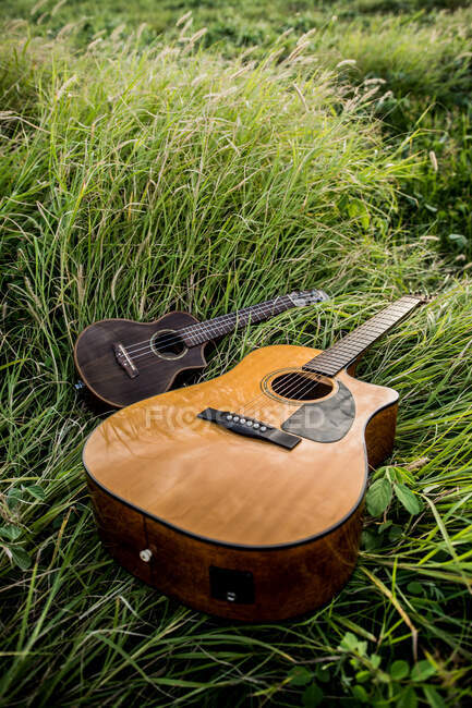 Hohe Akustikgitarre und Ukulele auf grünem Gras platziert, das im Sommer bei Tageslicht in der Natur wächst — Stockfoto