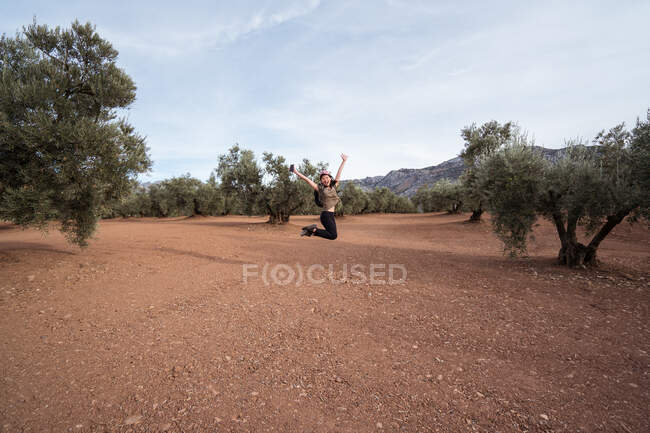 Віддалена безлика жінка-мандрівник стрибає в повітрі з розкиданими руками на плантації з пишними зеленими оливковими деревами в літній день в сільській місцевості — стокове фото