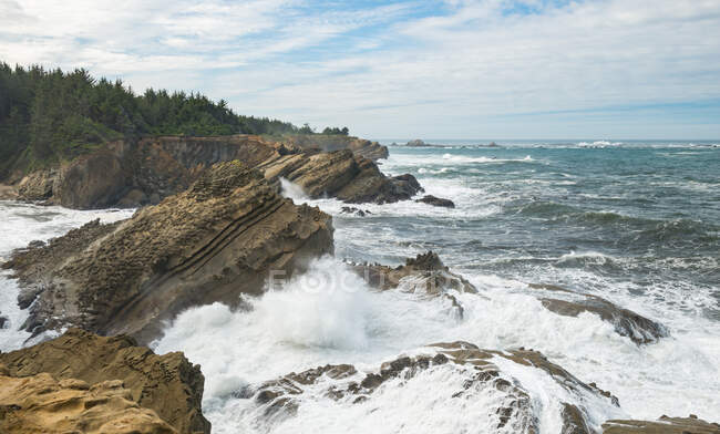 Vue de Shore Acres State Park ; magnifiques formations de grès mettent en valeur la beauté de cette partie de la côte sud de l'Oregon — Photo de stock