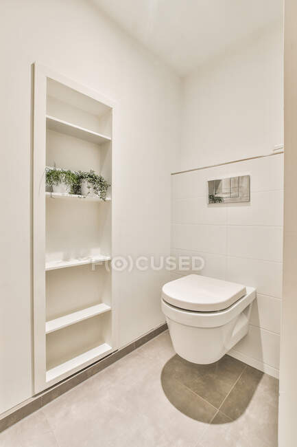 Современный санузел с туалетом на полке с растениями на черепичной стене в светлом доме — стоковое фото