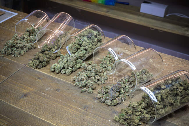 Von oben eine Reihe von Plastikbehältern mit halb verschütteten Cannabis-Knospen auf einem Holztisch verstreut — Stockfoto