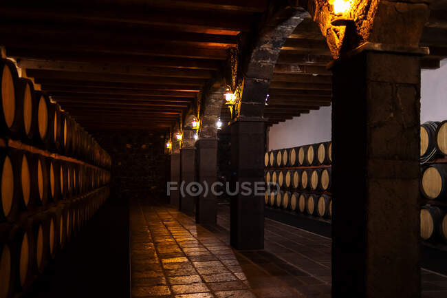 Aged wine cellar with tiled floor in passage with lanterns on columns between rows of barrels on shelves — Stock Photo