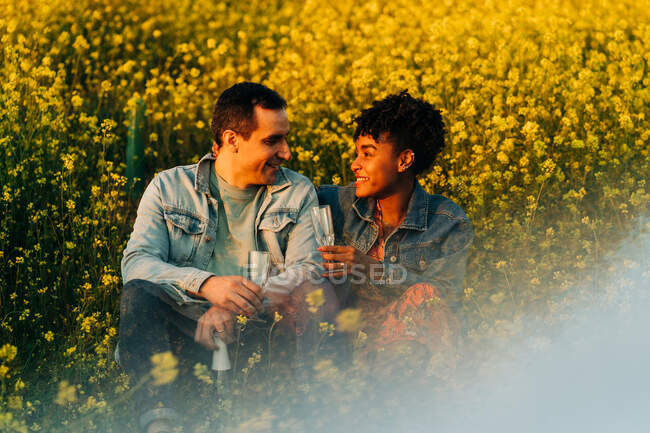 Loving young multiracial couple in casual clothes looking at each other and drinking champagne while sitting in lush blooming meadow during romantic date on sunny day — Stock Photo
