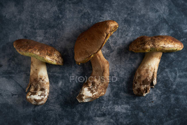 Вид сверху свежего сырого Boletus edulis с толстыми стеллажами и колпачками на мраморном фоне в светлом помещении — стоковое фото