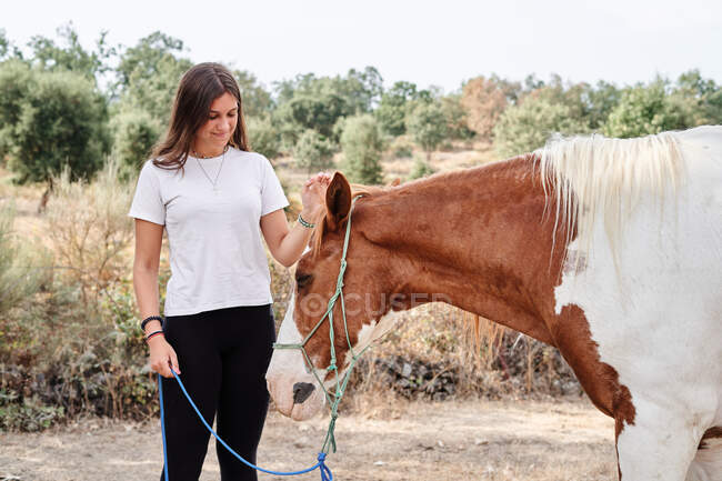 Happy woman petting horse with bridle in hand while standing on sandy ground near barrier and plants in daylight in farm — Stock Photo