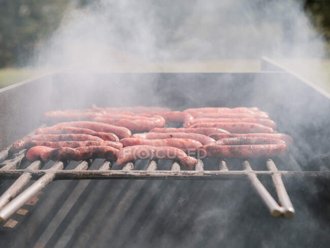 Différents types de saucisses savoureuses rôtissant sur une grille de gril au-dessus du charbon de bois à la campagne pendant le barbecue à la campagne le jour d'été — Photo de stock