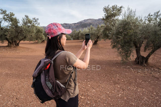 Side view of Asian female in cap taking picture of green olive tree on modern smartphone while standing in grove — Stock Photo