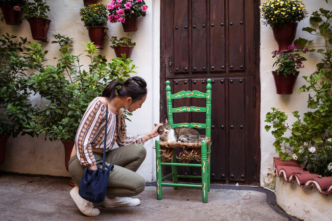 Full body side view of female tourist stroking cat on chair near residential building on street with flowerpots in town — Photo de stock