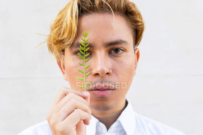 Grave giovane maschio in camicia bianca e piccolo ramoscello verde vicino al viso guardando la fotocamera su sfondo bianco sulla strada — Foto stock