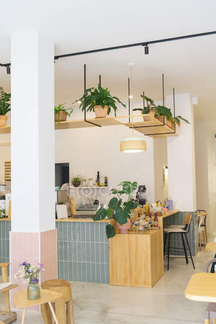 Balcão de madeira com xaropes variados e várias sobremesas doces na casa de café moderna leve com planta verde envasada e copos — Fotografia de Stock