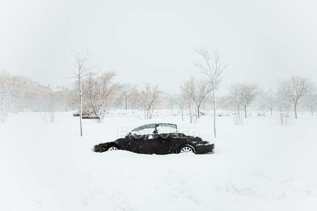 Черный автомобиль под снежным дрейфом среди лиственных деревьев во время снегопада в облачный зимний день в Мадриде — стоковое фото