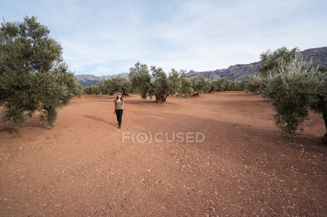 Full body of content Asian female traveler with smartphone looking at camera while standing on plantation with lush green olive trees — Stock Photo