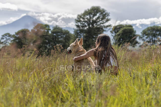 Vista posterior de la propietaria y el perro obediente abrazado mientras descansaba en el campo cubierto de hierba con árboles altos - foto de stock
