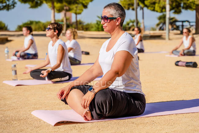 Side view of calm woman with short hair in activewear doing Padmasana while sitting on yoga mat during outdoors practice in sunny day — Stock Photo