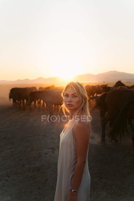 Блондинка в білій сукні дивиться на камеру зі стадом коней у полі під заходом сонця — стокове фото