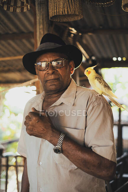 Serious African American male in black hat and sunglasses standing with cockatiel parrot on shoulder and looking at camera in sunlight — Stock Photo
