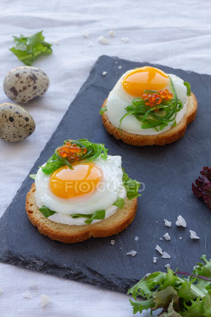 From above of appetizing canapes with crispy bread and fried quail eggs decorated with herbs and caviar served on gray board — Stock Photo