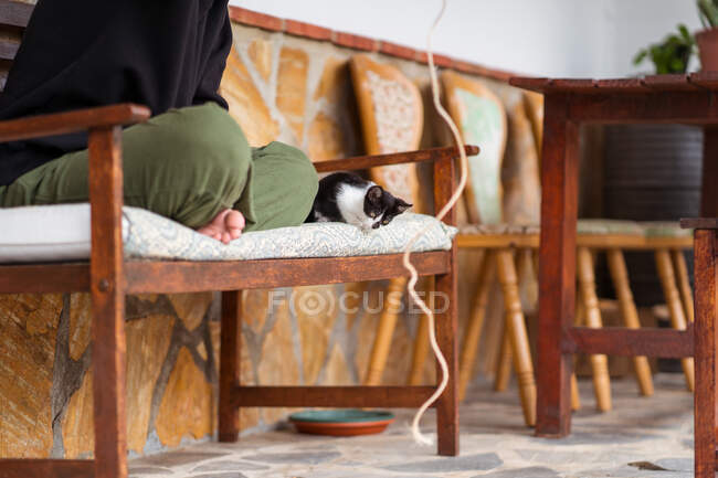 Crop unrecognizable woman wit rope playing with cute kitty standing in house — Stock Photo