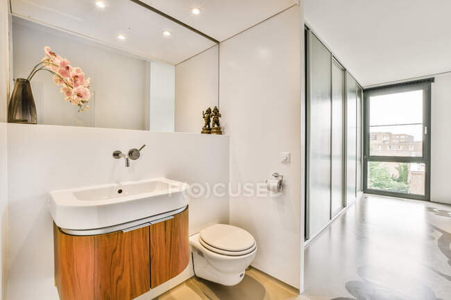 Раковина біля стіни з дзеркалом біля білого туалету в легкій стильній ванній кімнаті і прикрашені рожеві квіти в квартирі — стокове фото