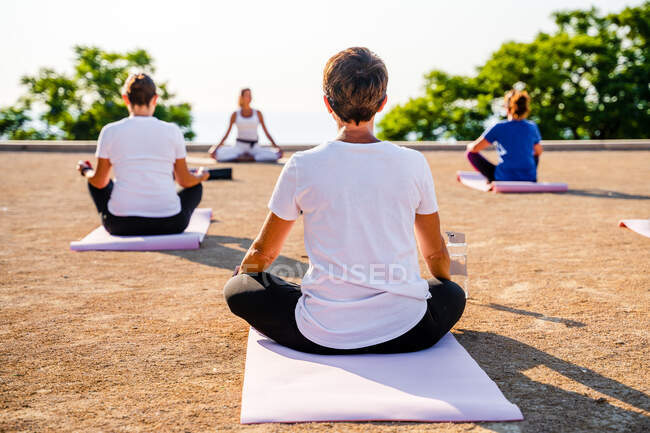 Visão traseira de pessoas irreconhecíveis em roupas esportivas sentadas em tapetes e fazendo Padmasana enquanto pratica ioga no quintal no verão — Fotografia de Stock
