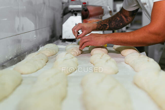Вид збоку врожаю невизначений чоловічий шеф-кухар з татуюваннями, що стоять за лічильником і забивають тісто хлібні булочки в пекарні — стокове фото