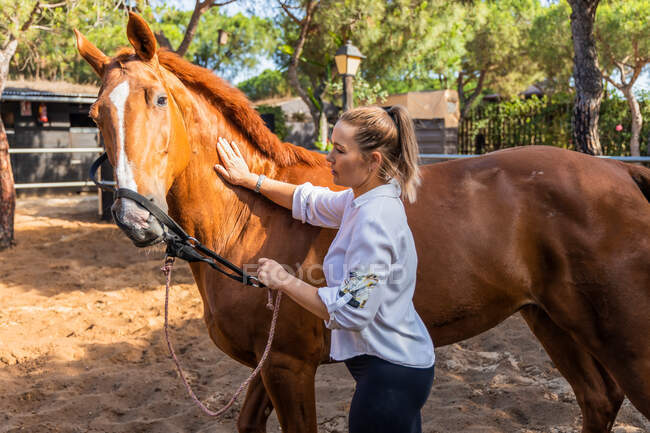Vista laterale di cavallerizza femmina che accarezza sul muso di cavallo di castagno in stalla sul ranch — Foto stock