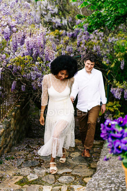 Contenida pareja multirracial cogida de la mano mientras caminan en el jardín con flores de glicina púrpura florecientes y disfrutando el fin de semana juntos - foto de stock