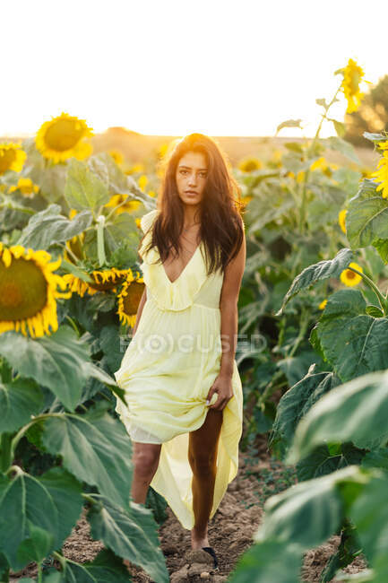 Приємна молода іспанка в стильній жовтій сукні стоїть серед цвітіння соняшники в сільському полі в сонячний літній день дивлячись на камеру — стокове фото