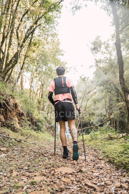 Anonymous traveler walking up in jungles — Stock Photo