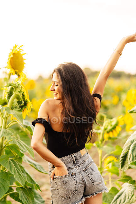 Вид на беззаботную молодую испаноязычную женщину в верхней части лета и джинсовые шорты, танцующие с протянутыми руками среди цветущих подсолнухов, наслаждаясь летними каникулами в сельской местности — стоковое фото